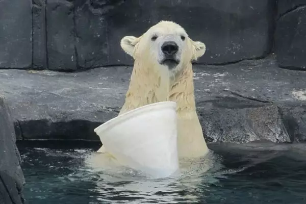 What Could Be Causing Your Fridge To Leak?